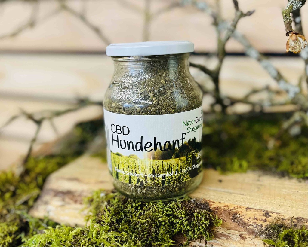 CBD Hundehanf