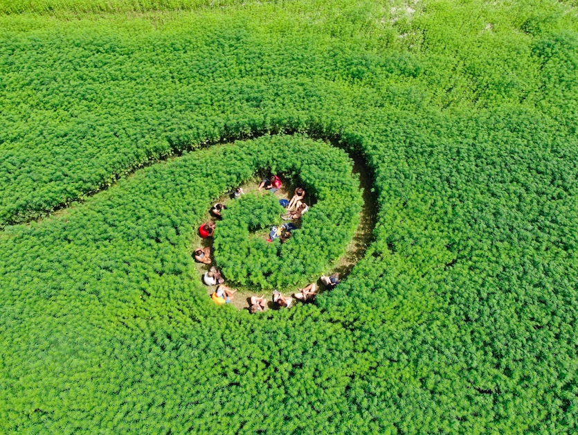 Kundalini Meditation im blühenden Hanffeld