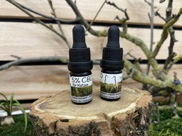 CBD Öl für Katzen