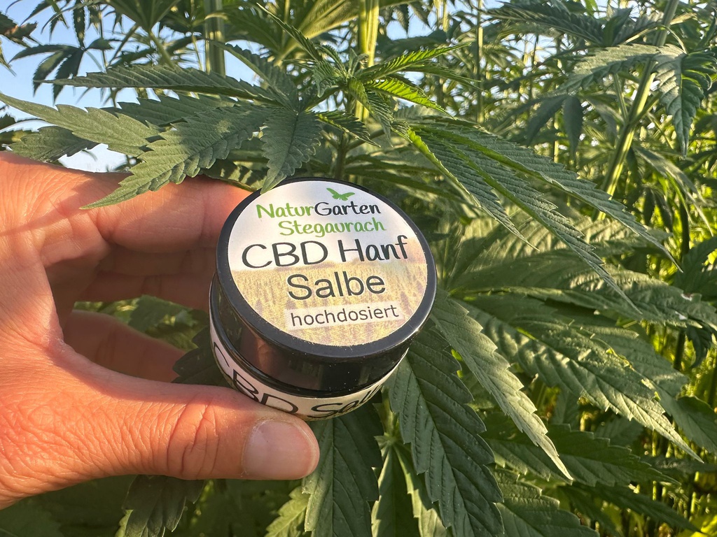 CBD Salbe